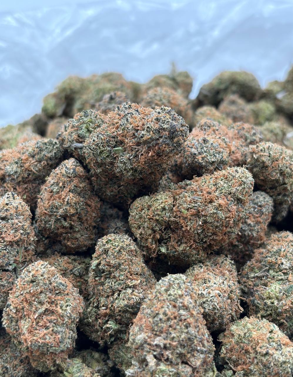 Candied Gelato Runtz  (Qp 320➡️300)