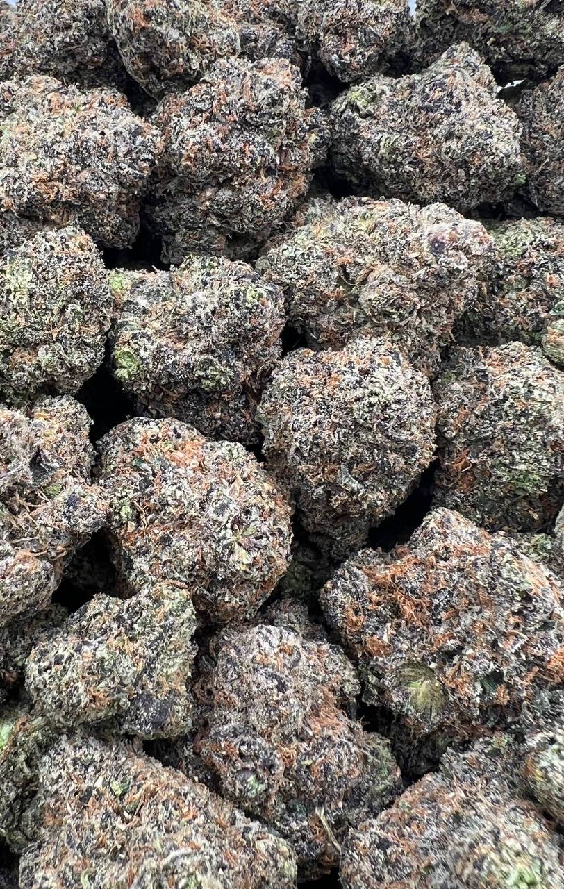 LA Confidential (Qp 335)