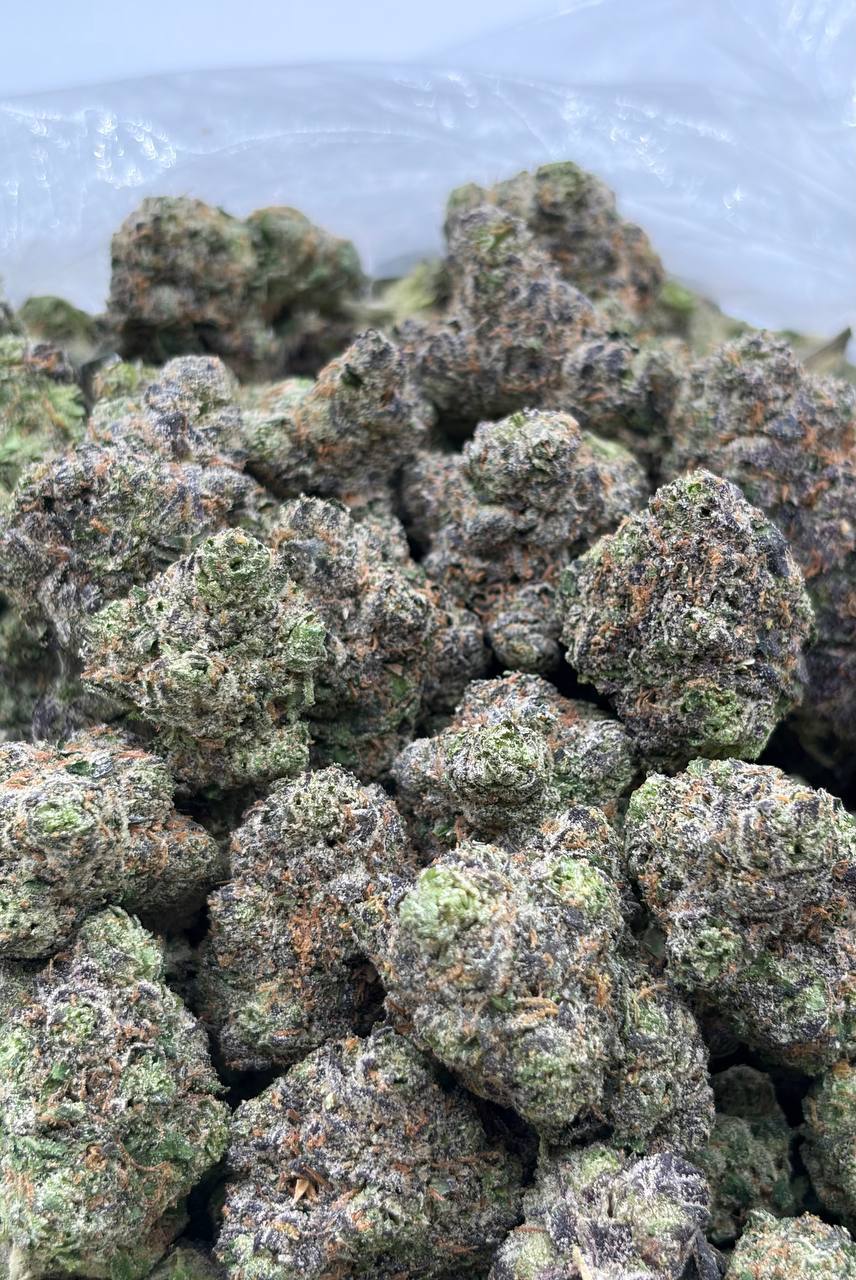 Lemon Candy Sherbinski (Qp 350➡️330)