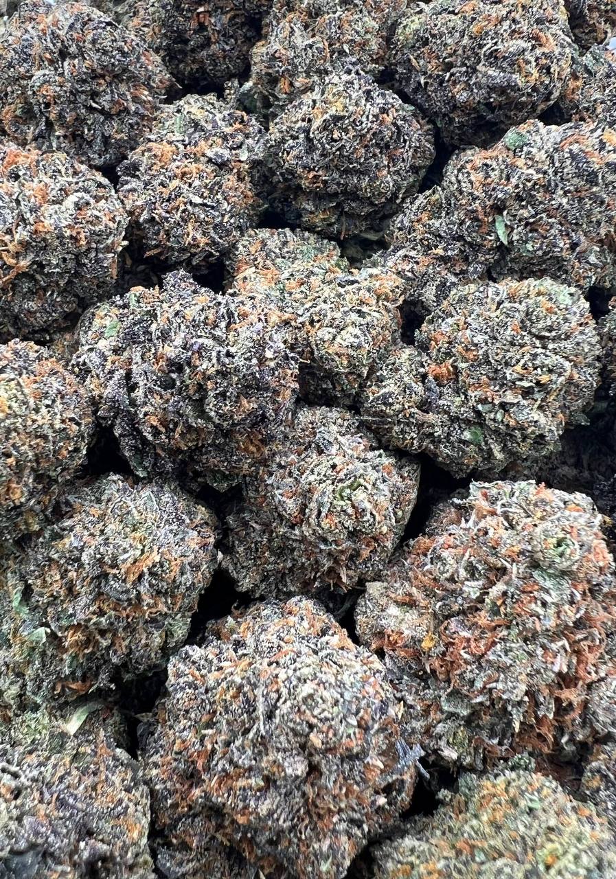 Cherry Zerbert (Qp 330)