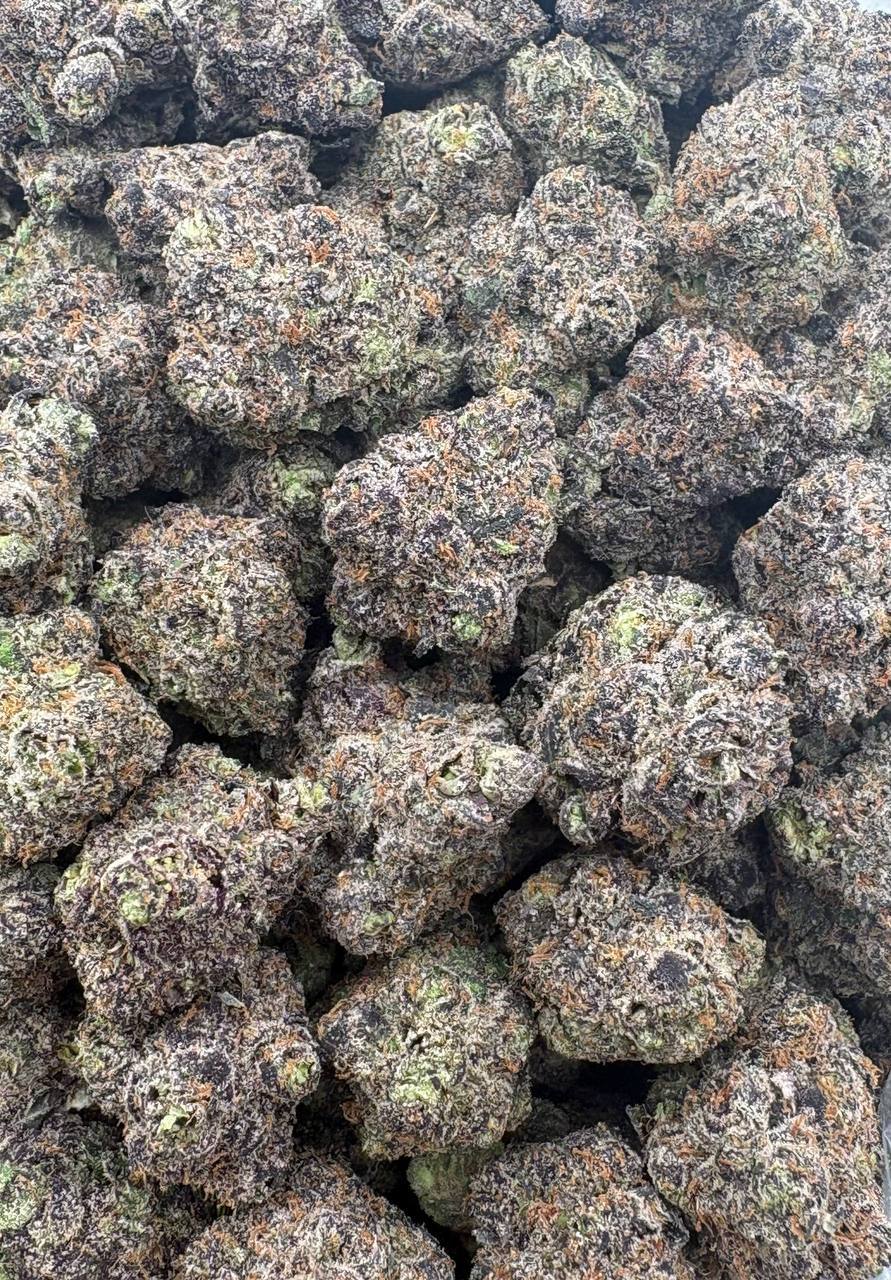 Optimus Prime (Qp 375)