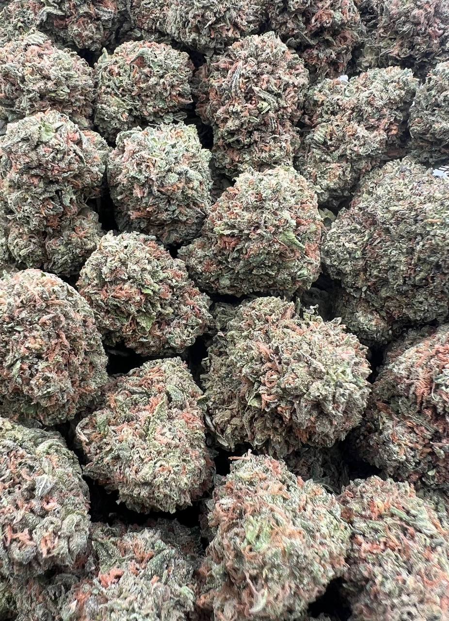 Chemdawg  (Qp 250)