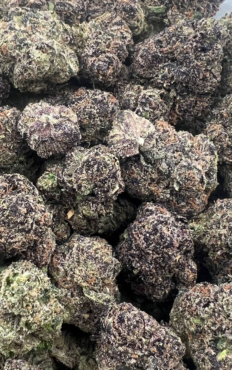Lemon Grapez Cherry  (Qp 360)