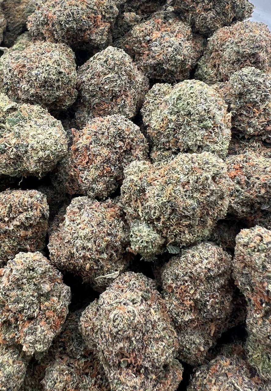 Samurai  (Qp 320➡️290)