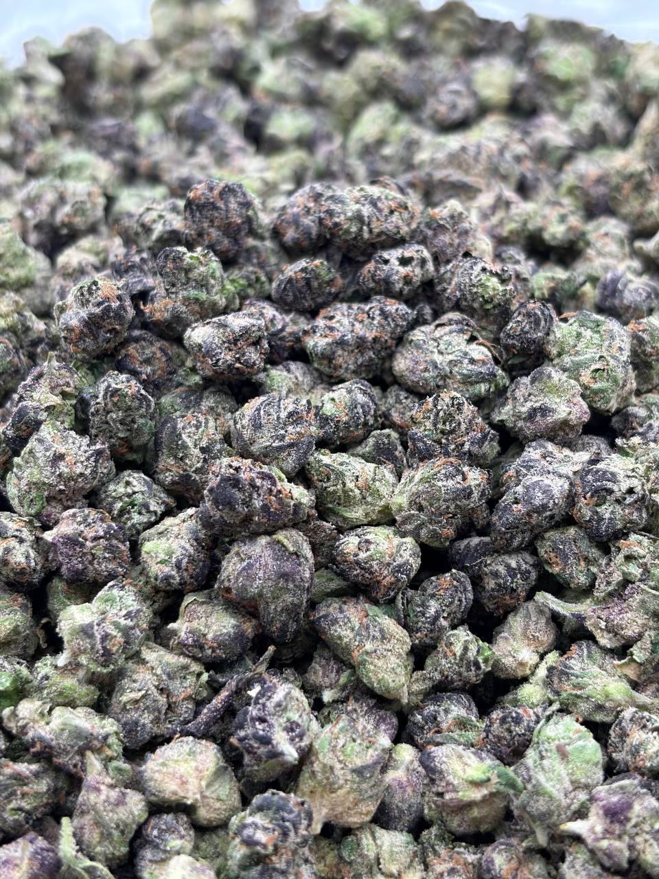 Cherrybomb skittles *Smalls  (Qp 300➡️280)
