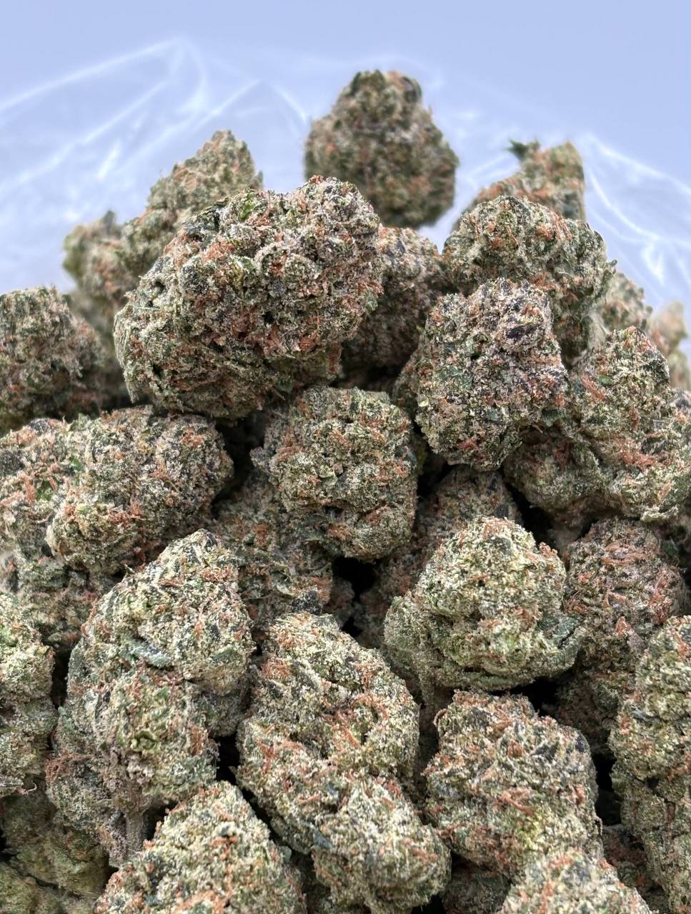 Gelato Candy Runtz (Qp 320➡️290)