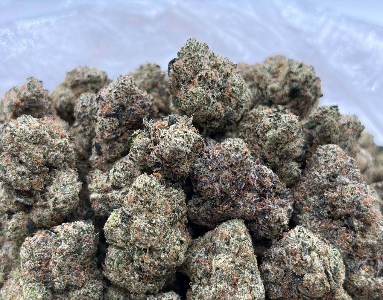 Cherrylemon Dulce (Qp 380)