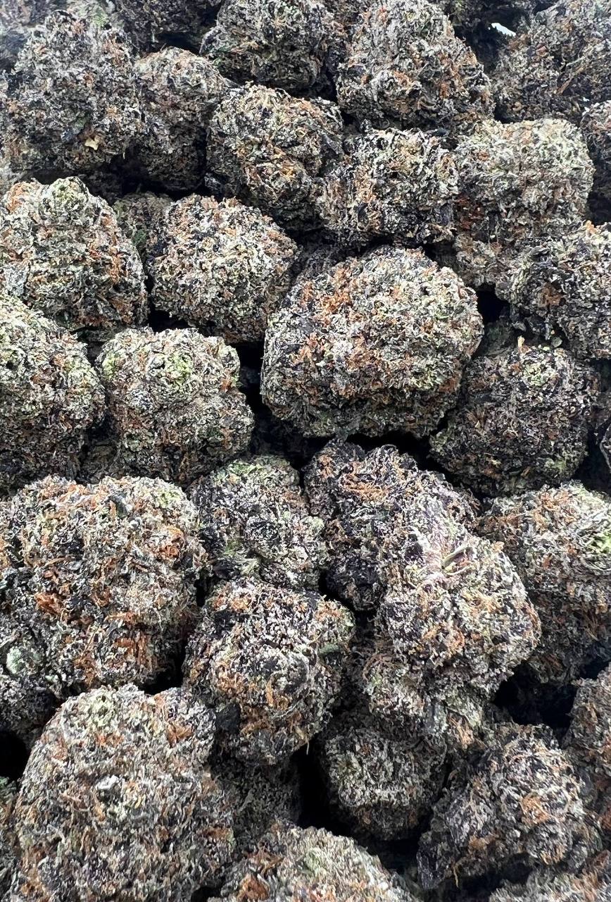 Sherbanger Dulce   (Qp 360)
