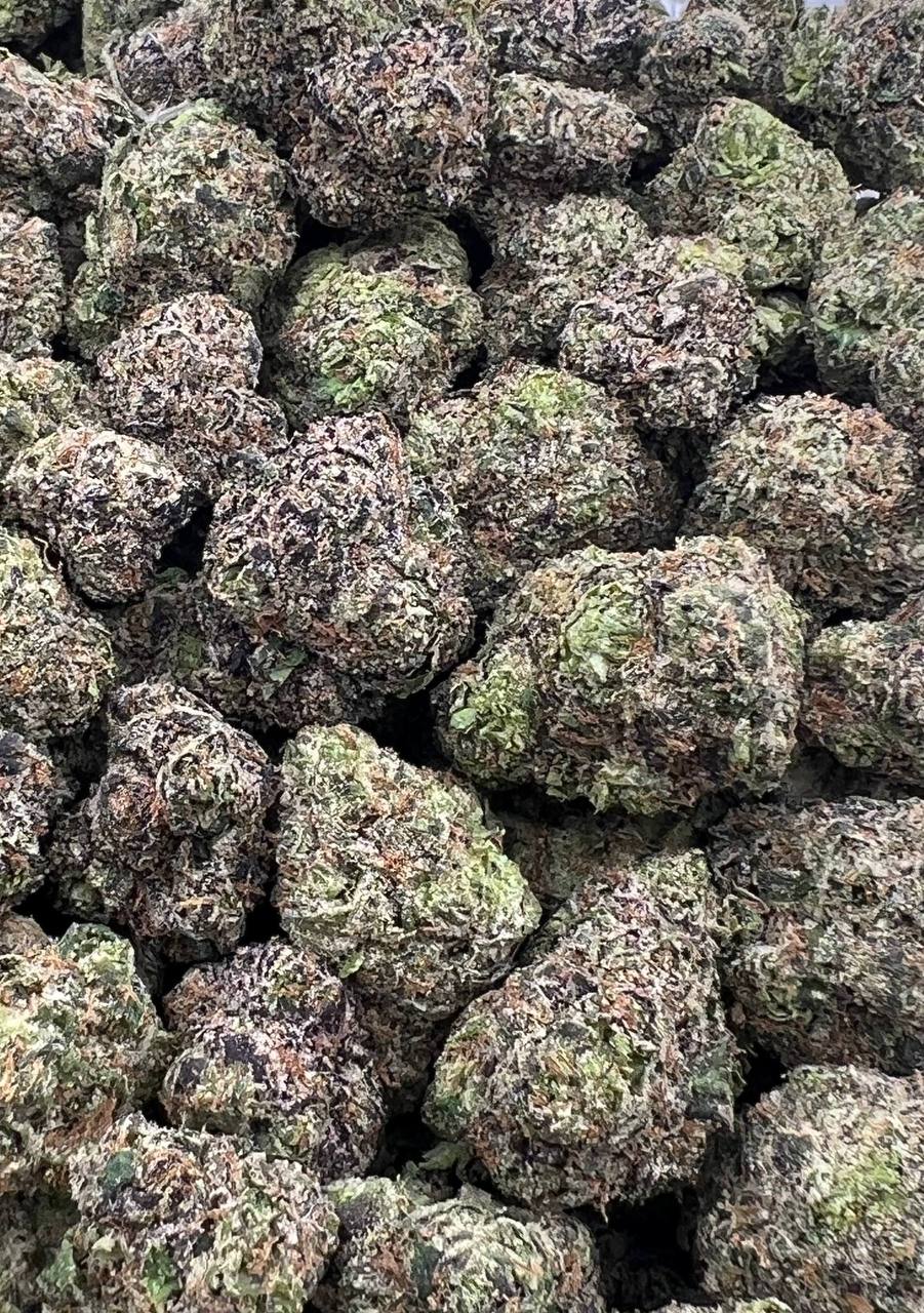 Skittles Candy Cane  (Qp 320)