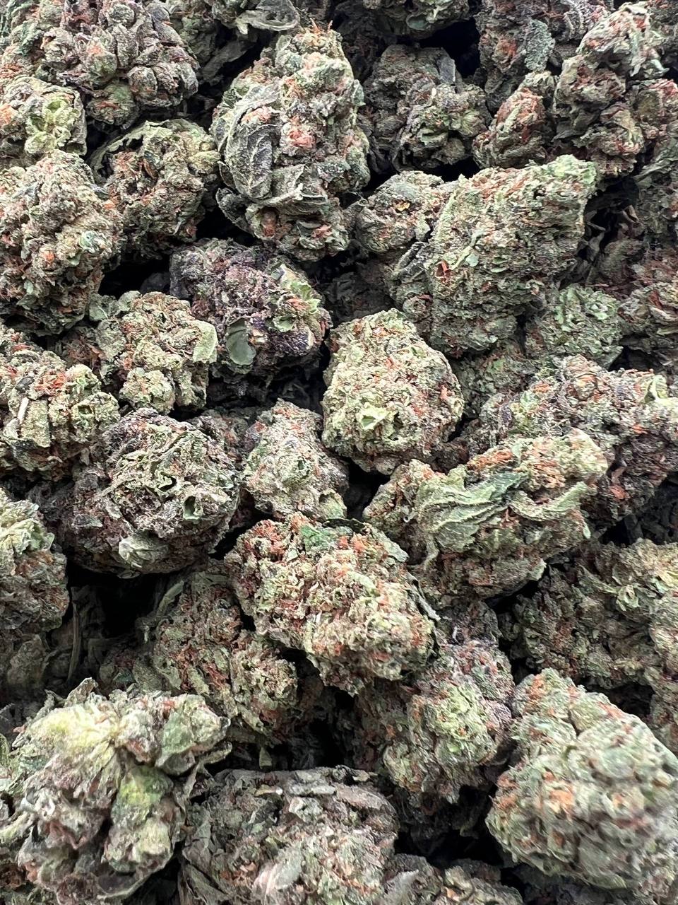 Ghost Train Haze (Qp 215)