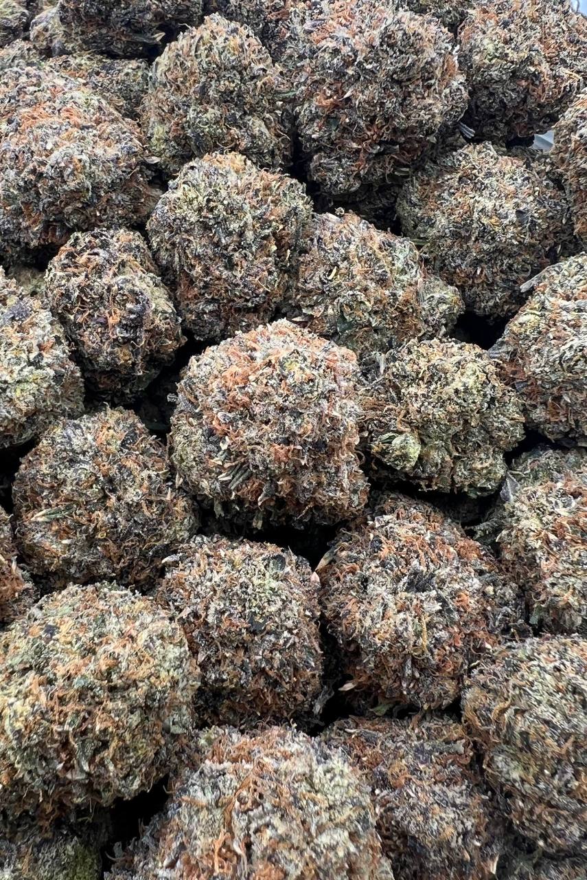 Milk Bone (Qp 335)