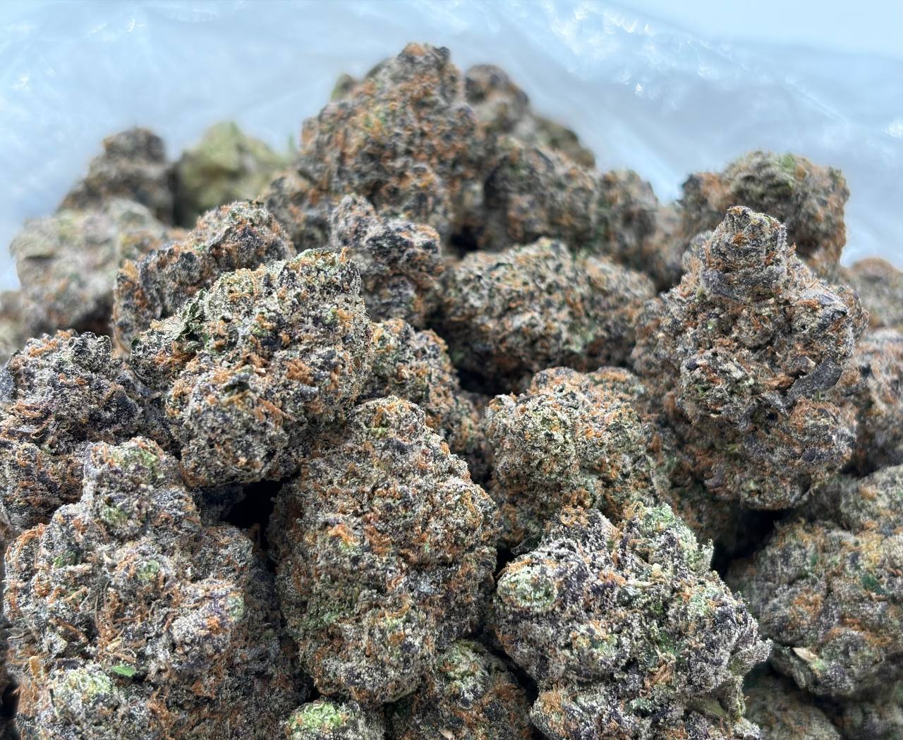 Gelatti Biscotti Runtz (Qp 375)