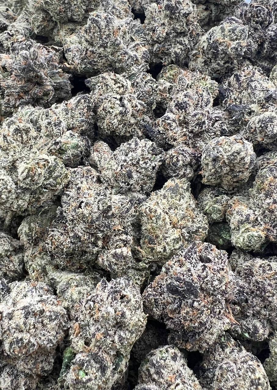 Winston Churchill  (Qp 425)