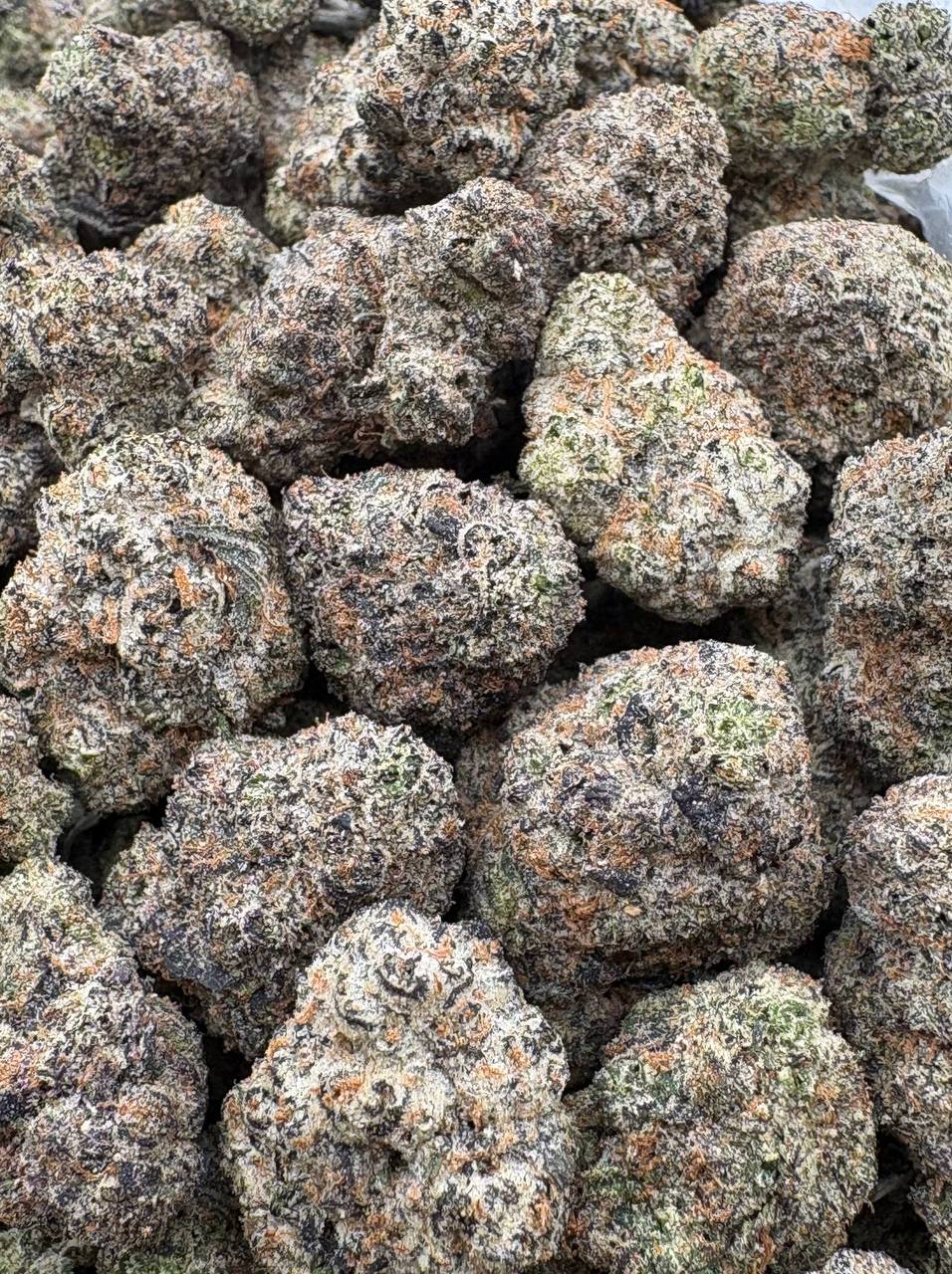 Slurricane  (Qp 375)