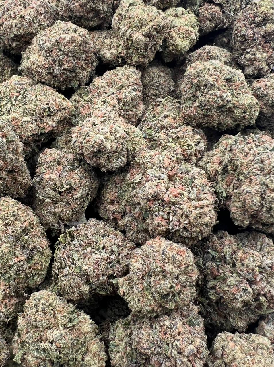 Jet Fuel Runtz  (Qp 275)