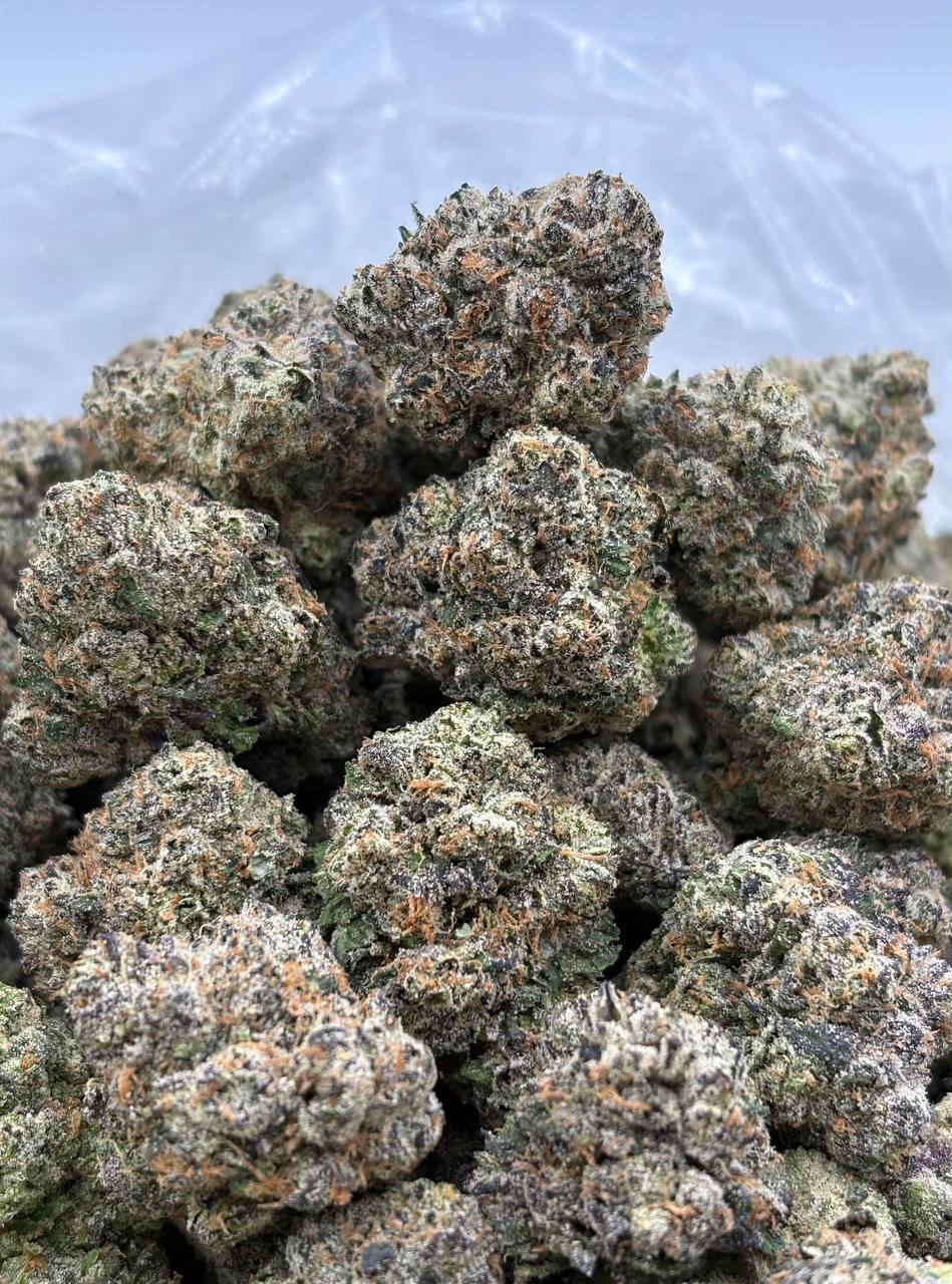 LCG  (Qp 340)