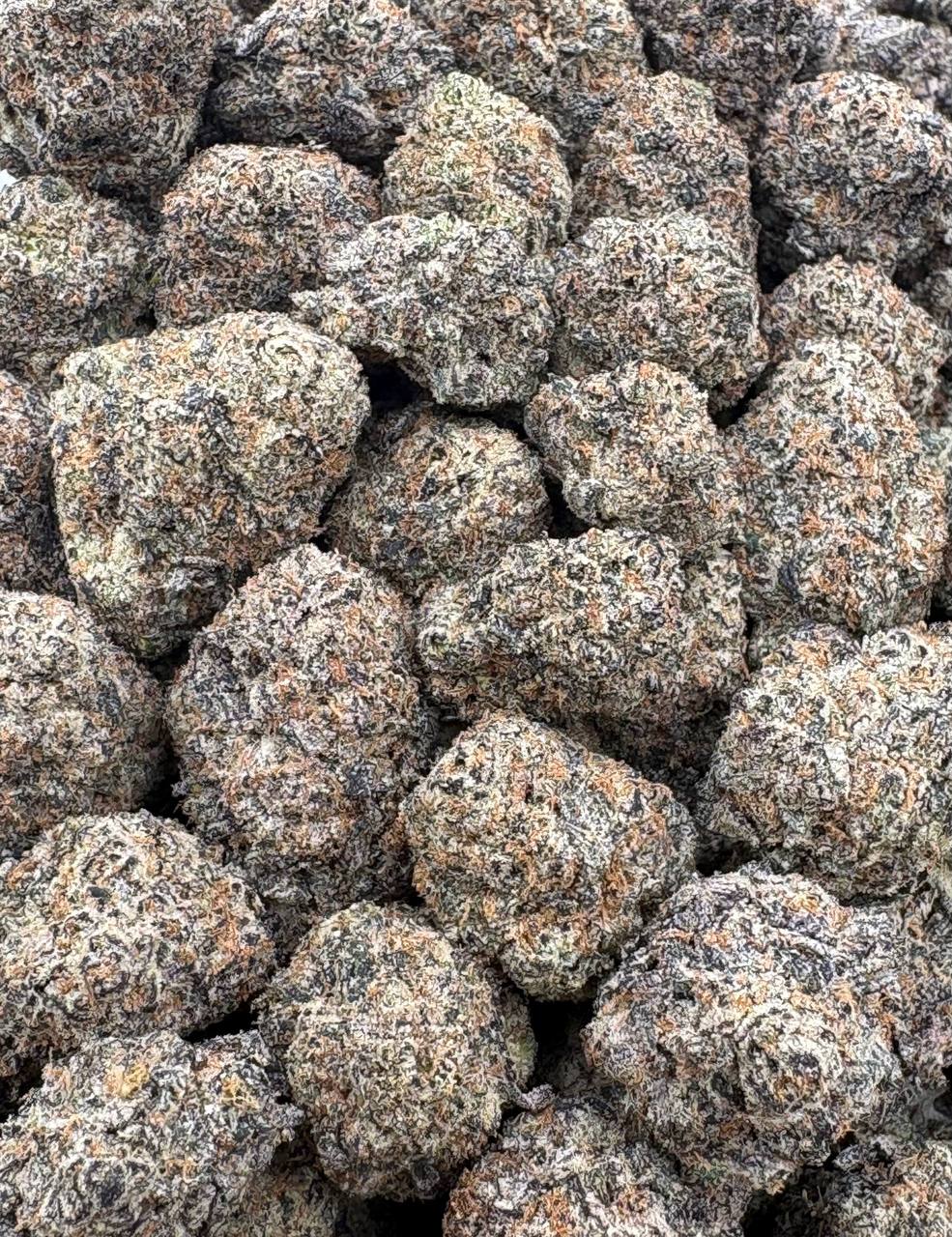 Biscotti Cherry Sherb  (Qp 380)