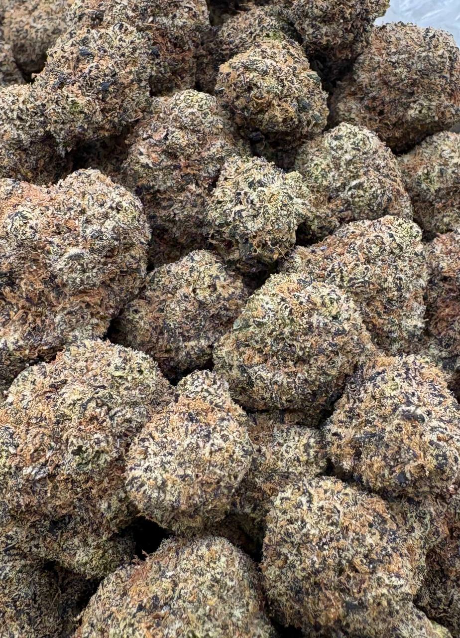 No Cap  (Qp 370)