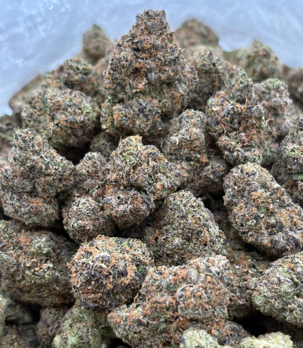 Vice City Za (Qp 360)