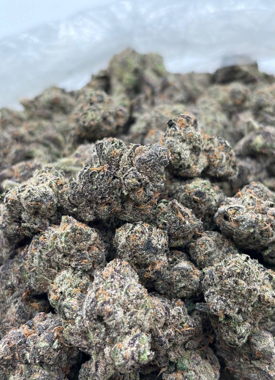 King Bolo Runtz (Qp 400➡️370)