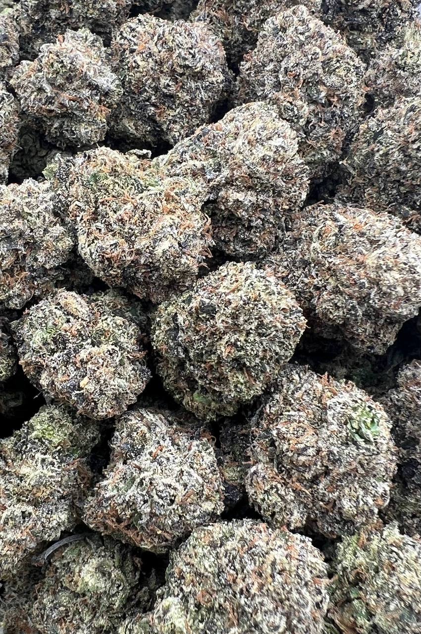 Bruce Banner  (Qp 320)