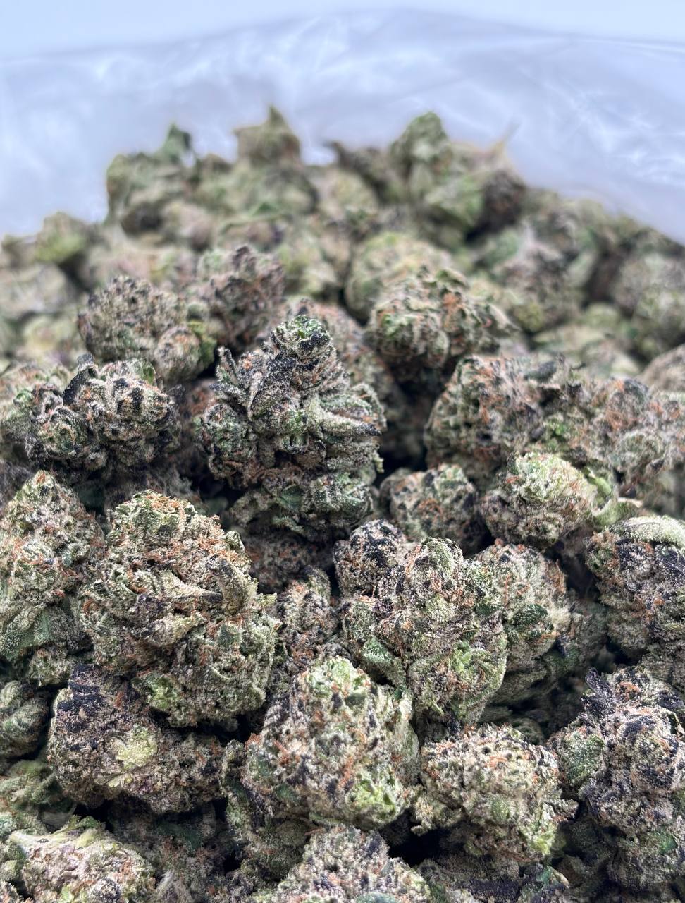 Mochi Cherry Zkitta (Qp 320➡️300)