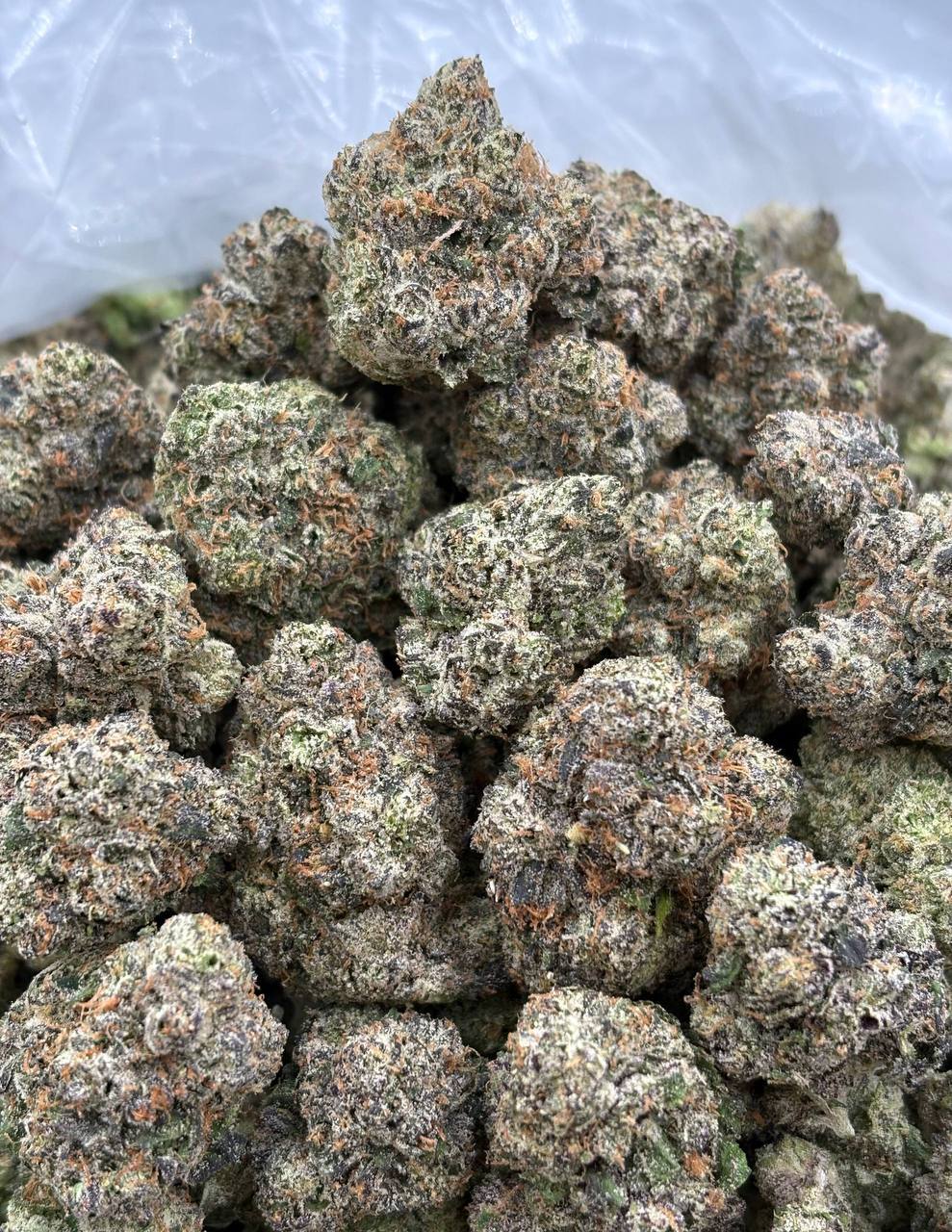 Marshmallow Milkshake  (Qp 360)