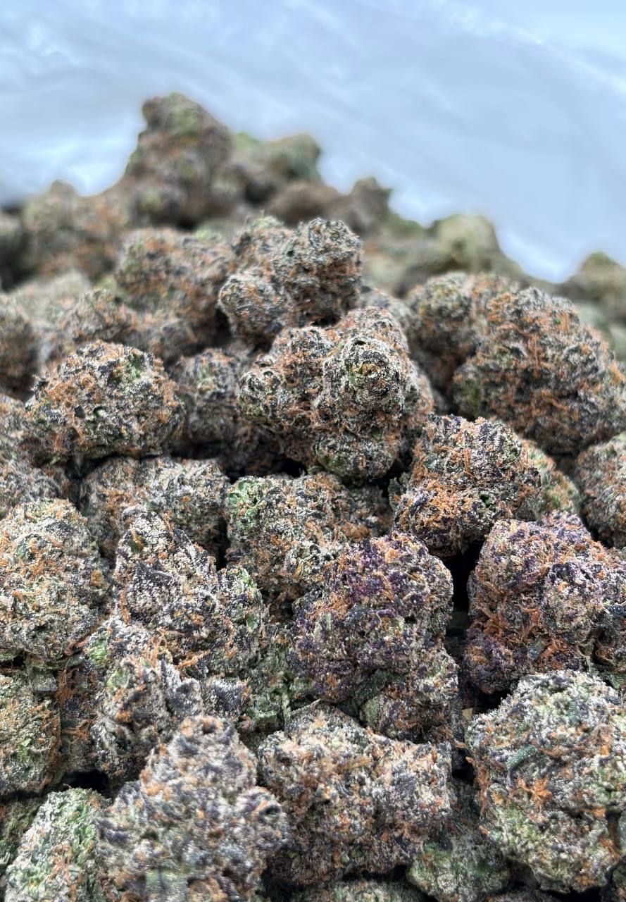 Marshmallow Candy Gum (Qp 350)