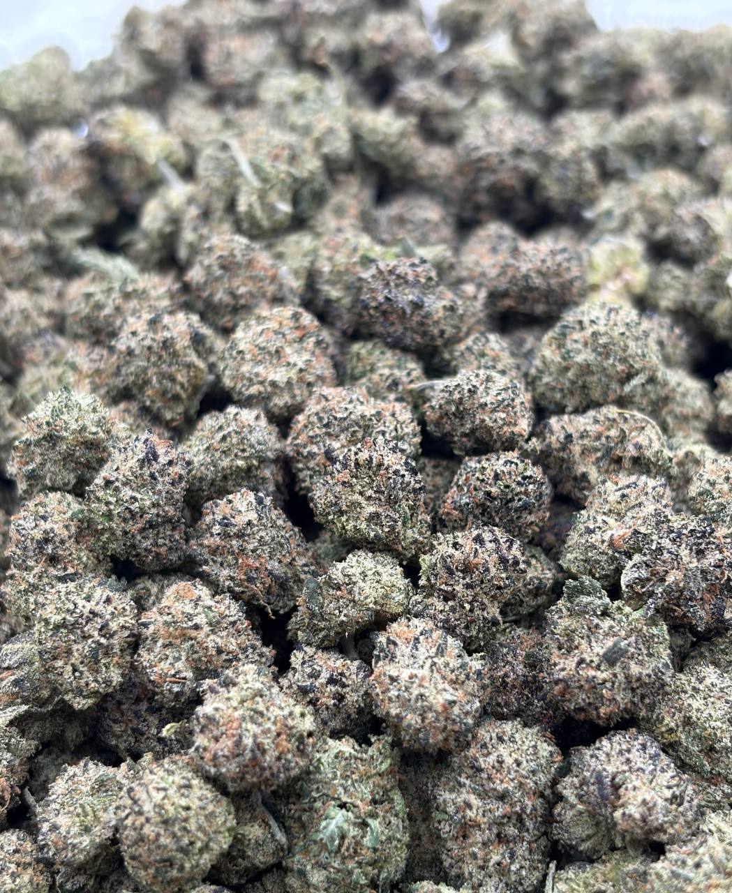 Cali Candy Skittles *Smalls  (Qp 300➡️280)