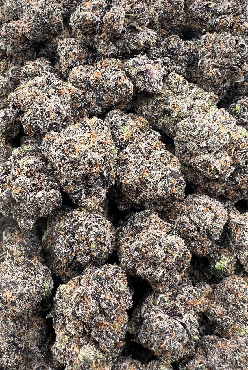 Cinnamon Rollz (Qp 400）