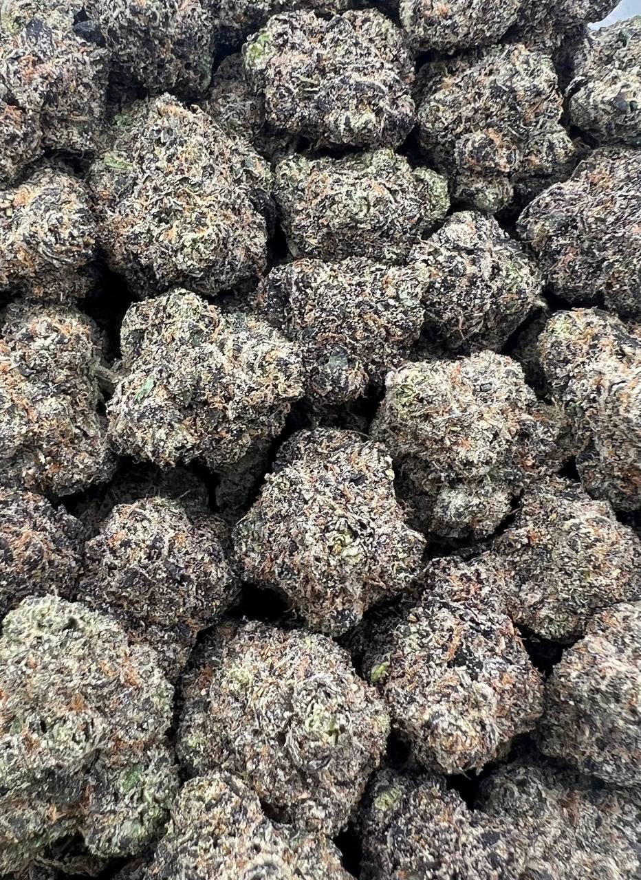Tony Montana  (Qp 400）