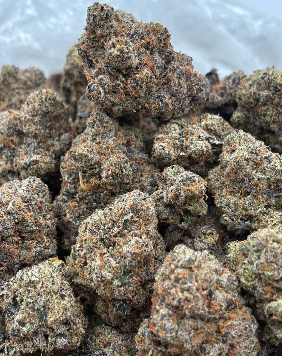 London Pound Skidoos  (Qp 380)