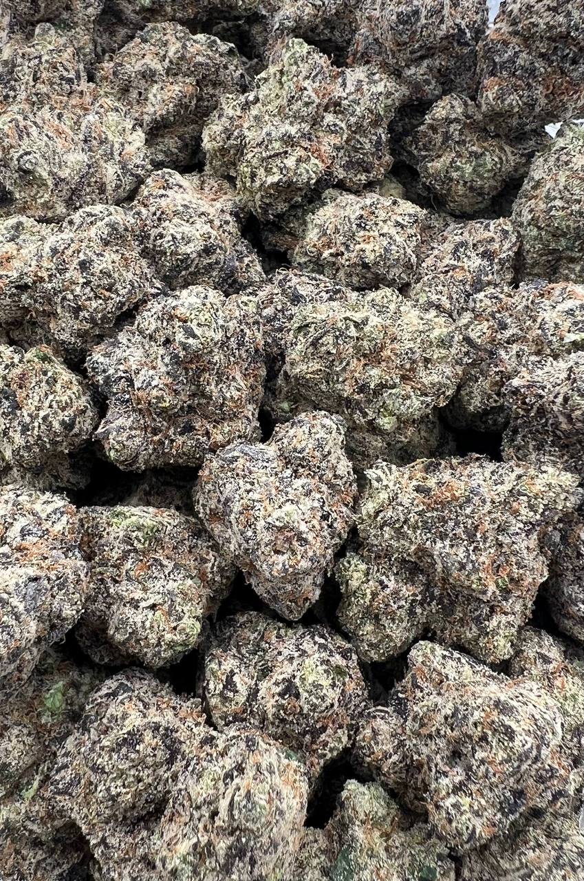 Mob Ties X Runtz  (Qp 425)