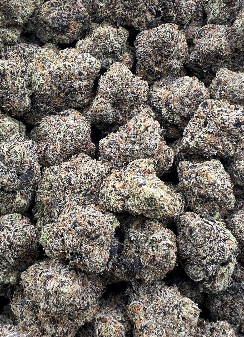 Swiss Caviar (Qp 400)