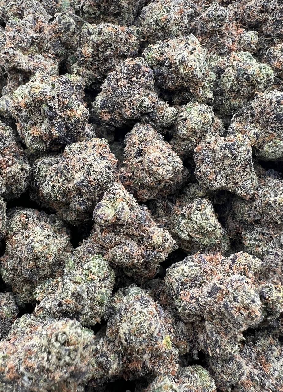 Gucci Runtz   (Qp 360)