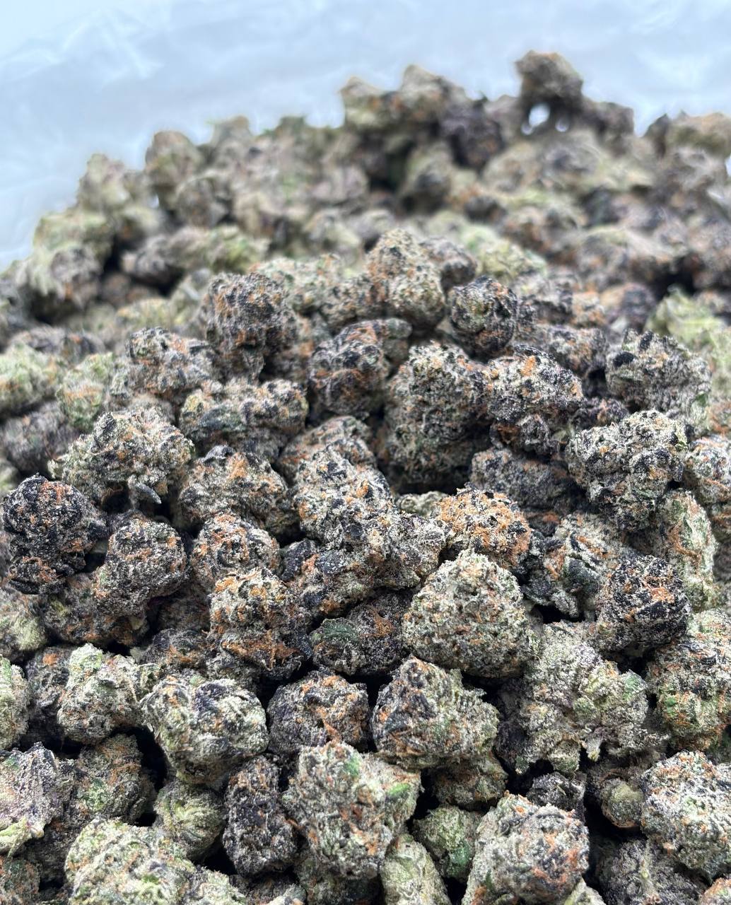 Blitz Pop skittles *Smalls  (Qp 300➡️280)
