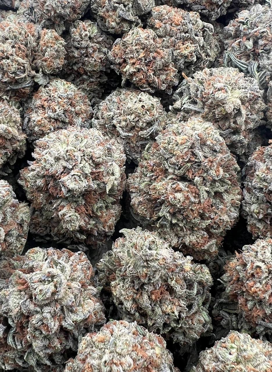 Dosidos  (Qp 250)