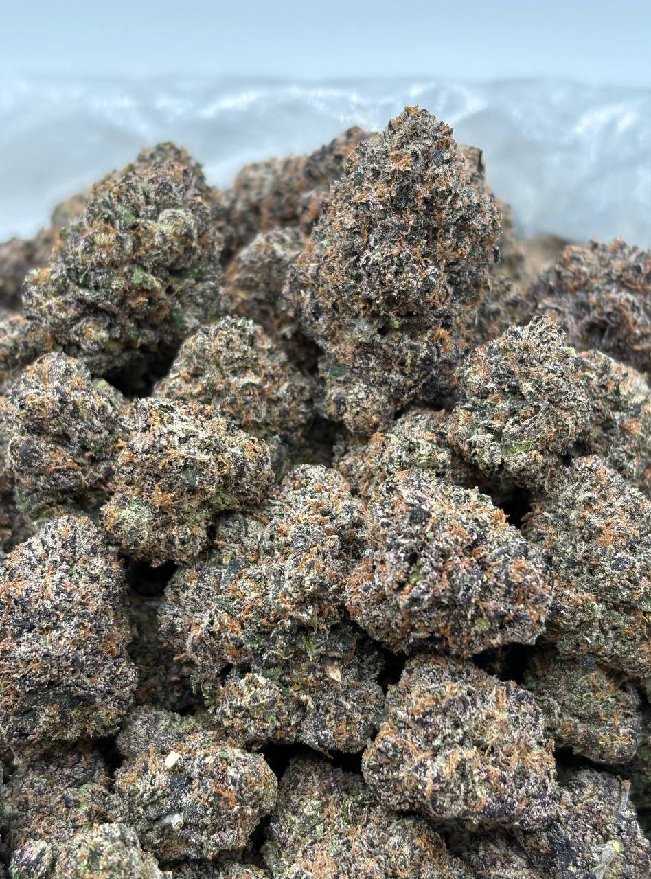 Italian Slapz (Qp 375➡️345)